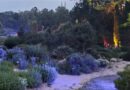 Ogród w Przelewicach rozświetlił się dla odwiedzjących