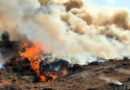 Wysokie i średnie zagrożenie pożarowe w lasach