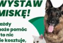 Mały gest, wielka moc – wystaw miskę!