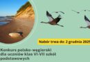 Konkurs dla uczniów klas VI-VII szkół podstawowych