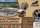 Święto hodowli koni i rodzinne wydarzenie dla mieszkańców