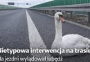 Nietypowa interwencja na trójce