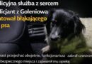 Policjant z Goleniowa uratował psa