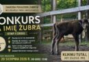 Konkurs na imię dla małego żubra.