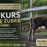 Konkurs na imię dla małego żubra.