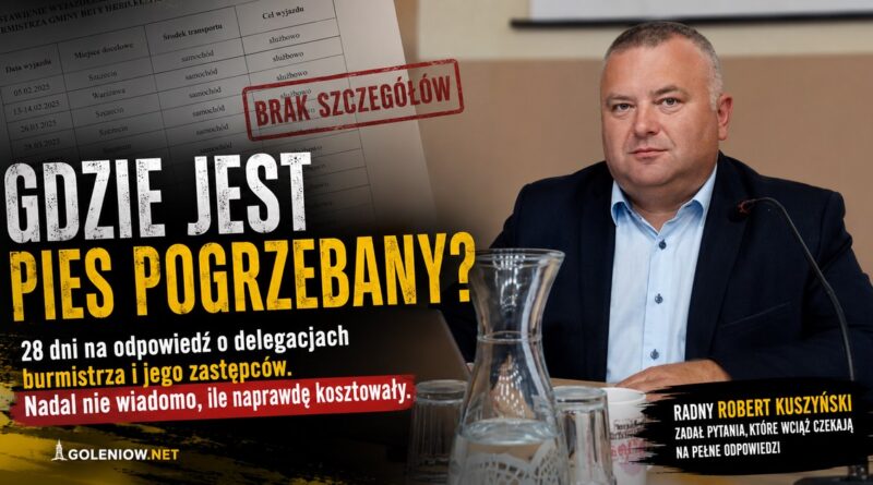 Gdzie jest pies pogrzebany