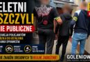 Wandale zatrzymani