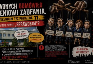 Do referendum też potrzeba 11 głosów Do referendum też potrzeba 11 głosów