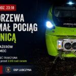 Konar drzewa zatrzymał pociąg pod  Łozienicą