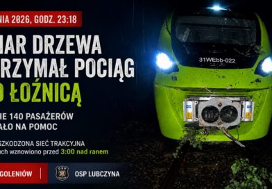 Konar drzewa zatrzymał pociąg pod  Łozienicą
