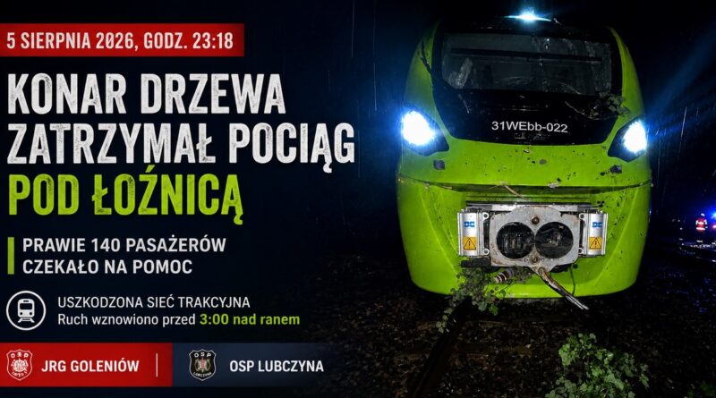Konar drzewa zatrzymał pociąg pod  Łozienicą