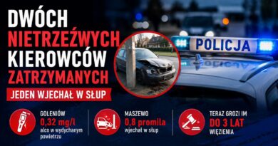 Nietrzeźwy wjechał w słup