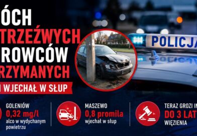 Nietrzeźwy wjechał w słup