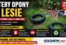 Cztery opony w lesie