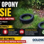 Cztery opony w lesie