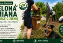 „Zielona zmiana w trosce o ziemię”