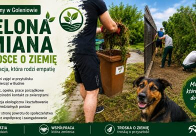 „Zielona zmiana w trosce o ziemię” „Zielona zmiana w trosce o ziemię”