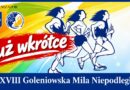 XXXVIII Goleniowska Mila Niepodległości